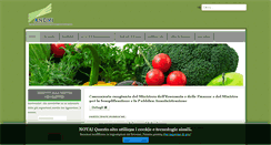 Desktop Screenshot of andmi.it